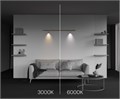 C102CL-3W3-6K-BS 787825