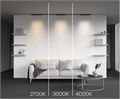 TR193-1-20W4K-M-B 795062