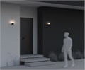 O016WL-01B 557488