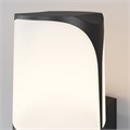 O016WL-01B 557488