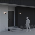 O016WL-01B 557488