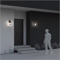 O031WL-01BR 578156