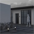 O017FL-01B 557489