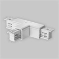 TRA005CT-31W-L 628487