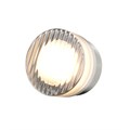 MOD493WL-L6PTK1 804459