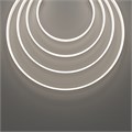 432038 792517