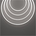 432031 792539