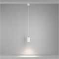P100PL-20W4K-W 754162