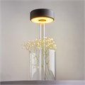 MOD229TL-L3B3K1 739305
