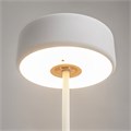 MOD229TL-L3W3K2 739309