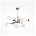 MOD221-PL-12-N 506868