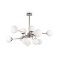 MOD221-PL-12-N 506868