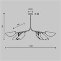 MOD225PL-06B 750207