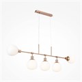 MOD221-PL-05-G 428361