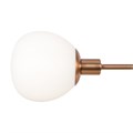 MOD221-PL-05-G 428361