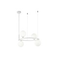 MOD013PL-04W 506881