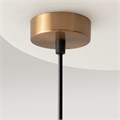 MOD013PL-06BS1 705767