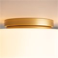 MOD270CL-01G 736624