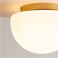 MOD270CL-01G 736624