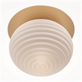 MOD268CL-01G 738899