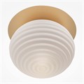 MOD268CL-01G 738899