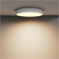 C032CL-45W2.7K-RD-W 781295