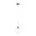 MOD221-PL-01-G 428360
