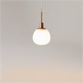 MOD221-PL-01-G 428360