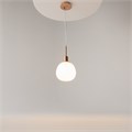 MOD221-PL-01-G 428360