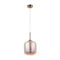 MOD001PL-01CFL 664999