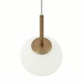 MOD321PL-01G1 674293
