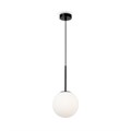 MOD321PL-01B1 703552