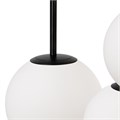 MOD321PL-03B 705769